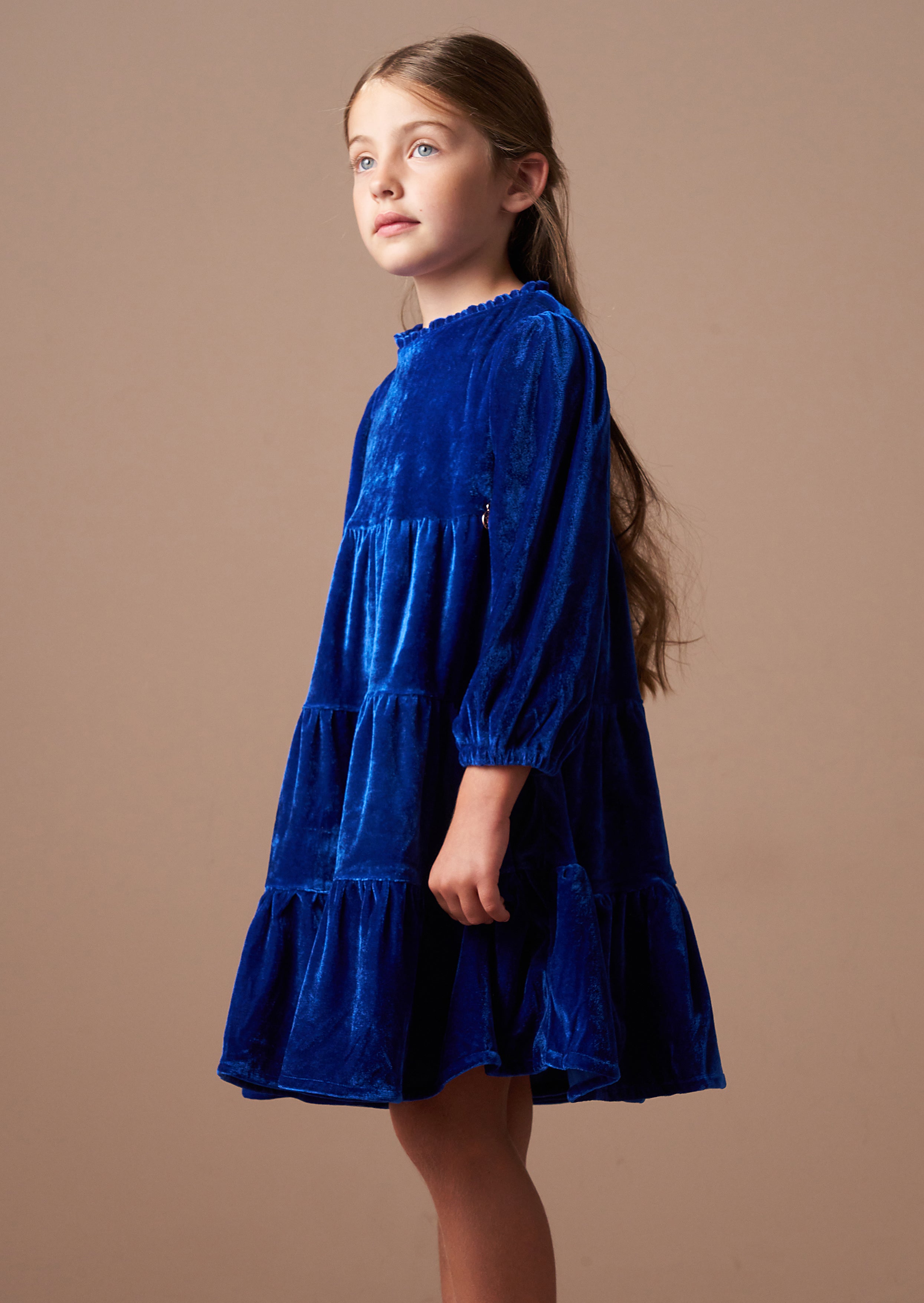 Adriana Cobalt Velvet Dress