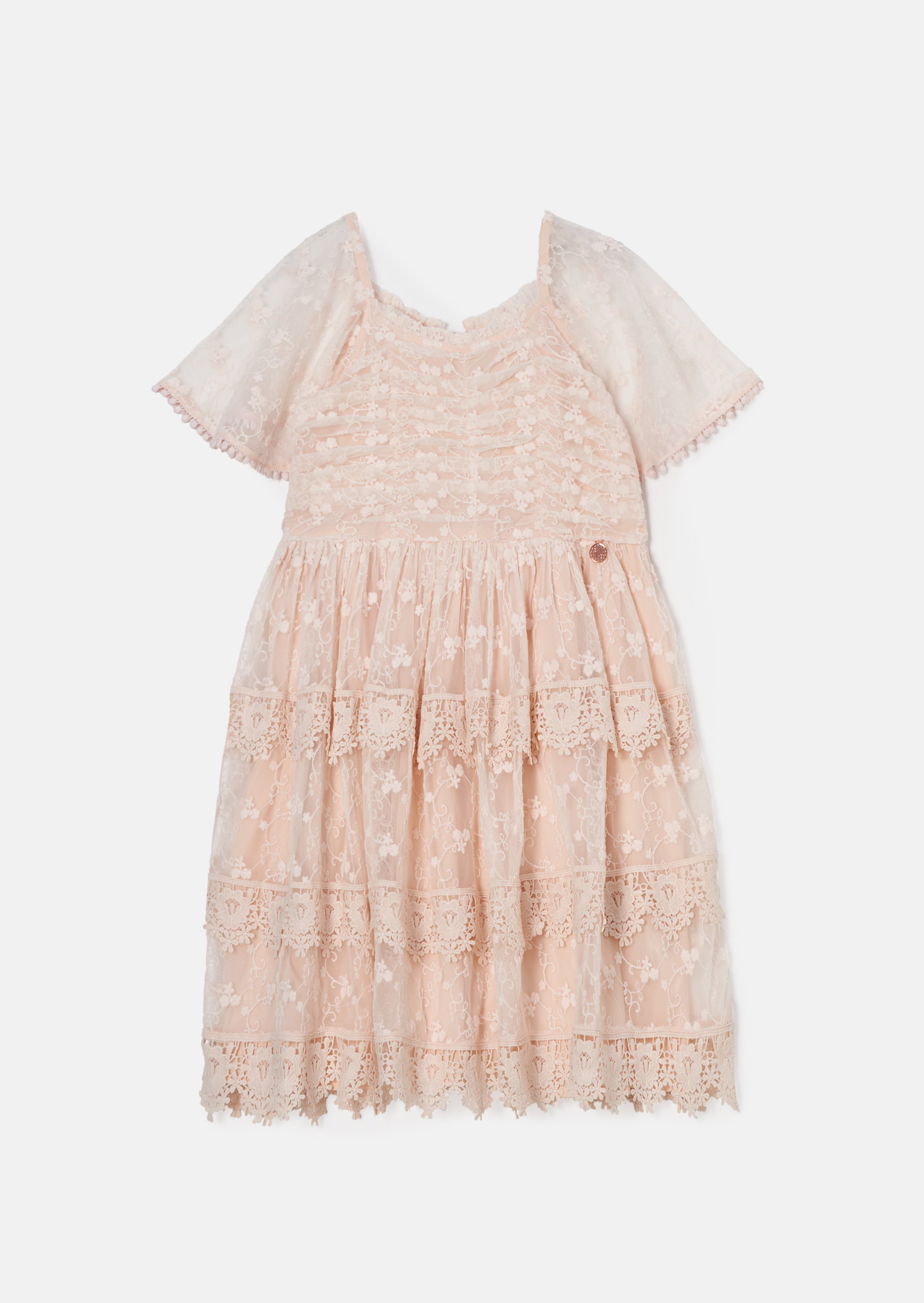 Annabelle Pink Vintage Lace Mesh Dress