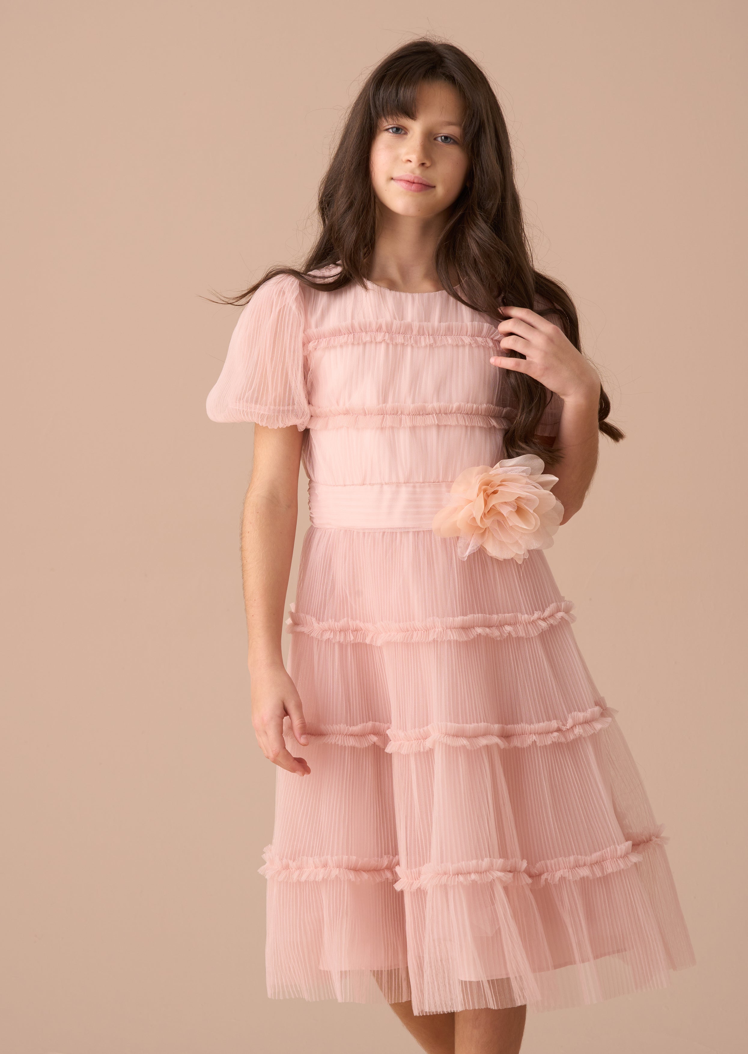 Clara Pink Pleated Mesh Corsage Dress