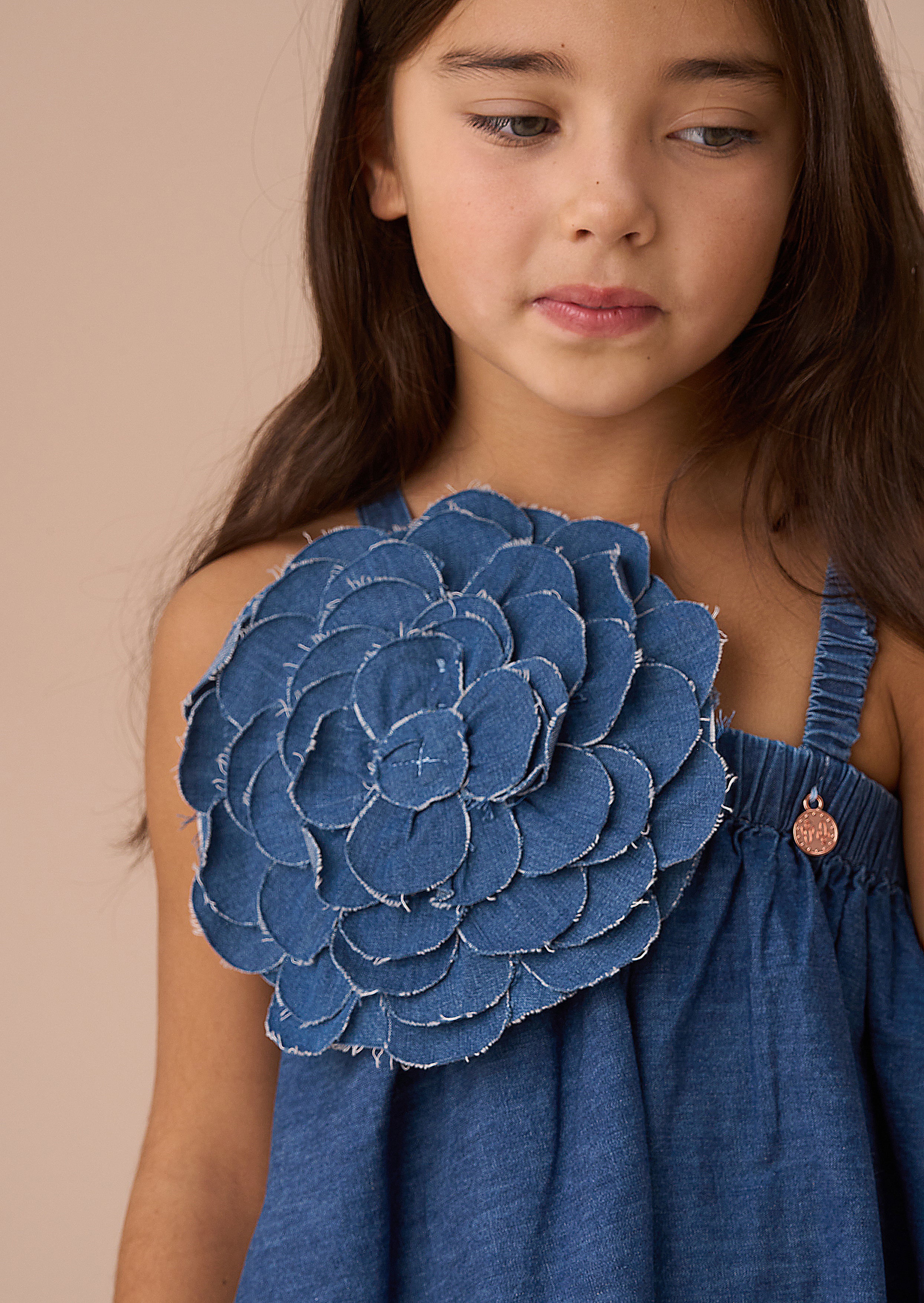 Marnie Denim Corsage Swing Dress