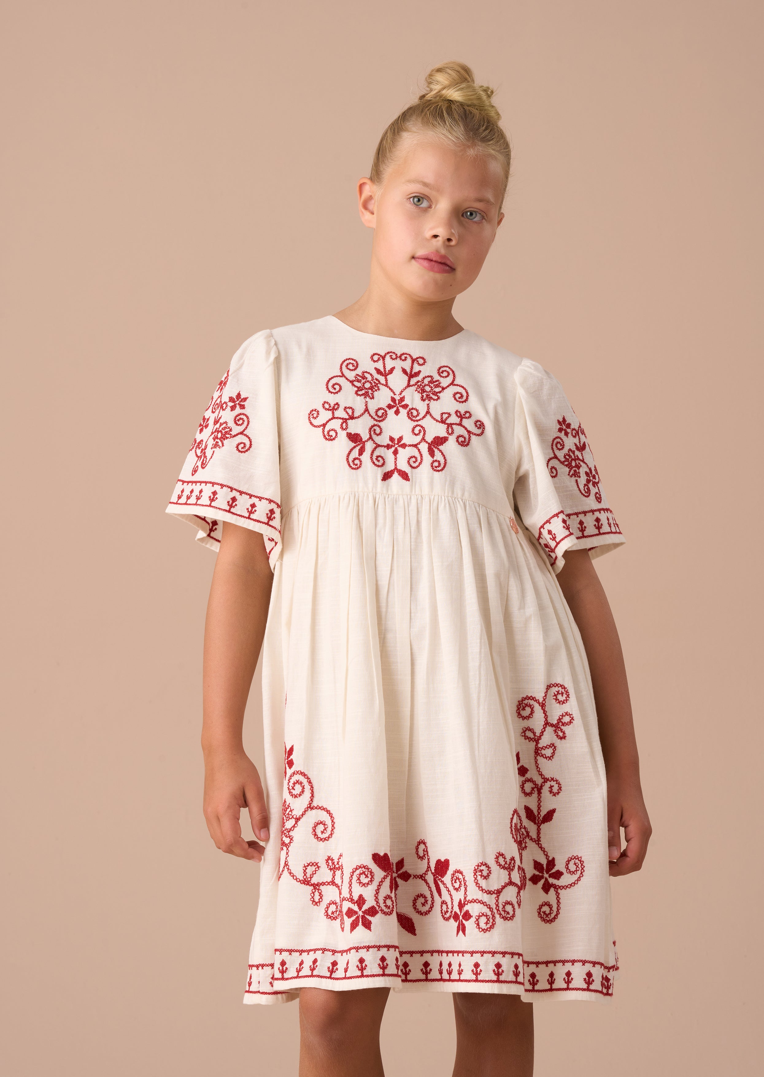 Reyna Nude Embroidered Swing Dress