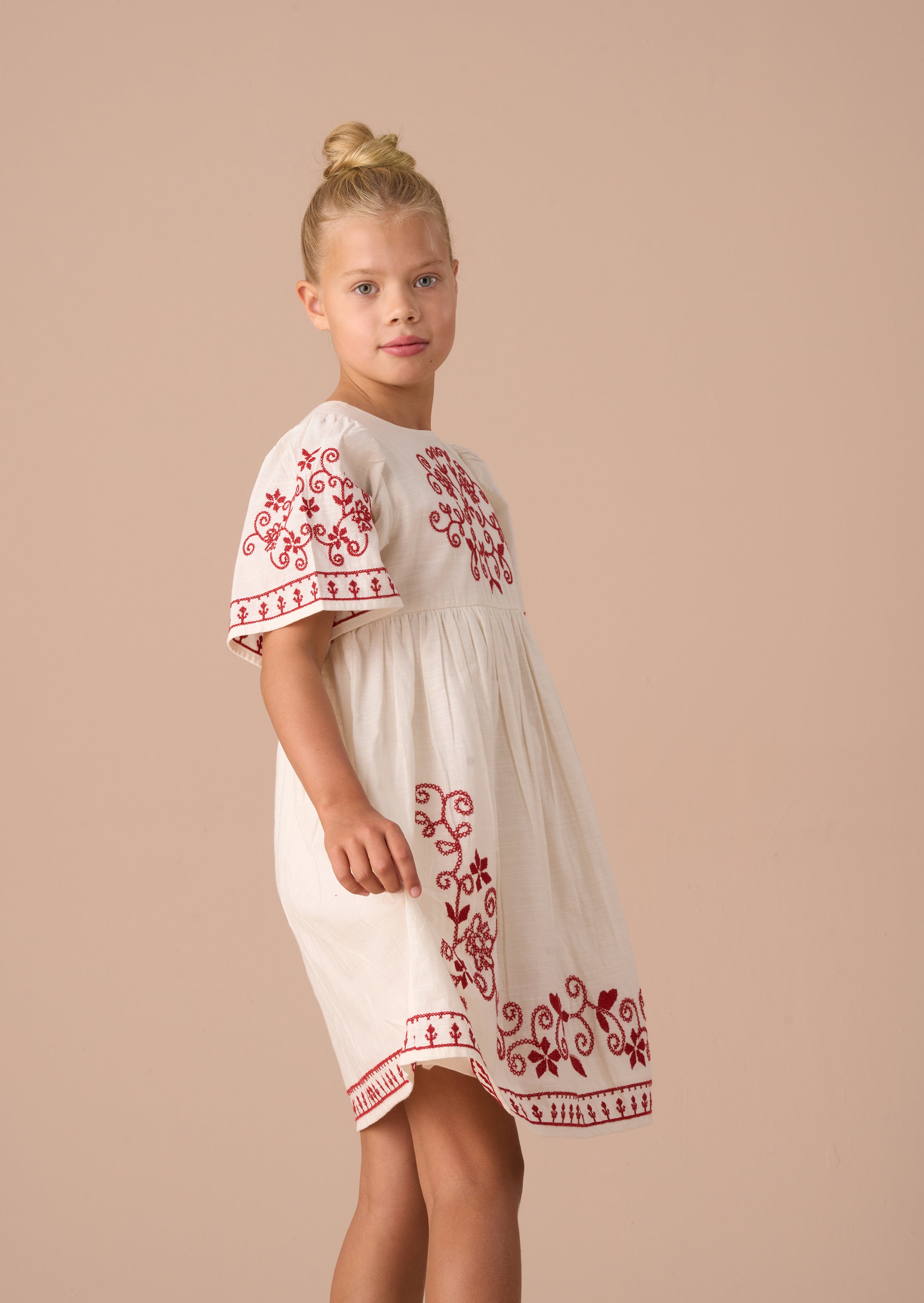 Reyna Nude Embroidered Swing Dress