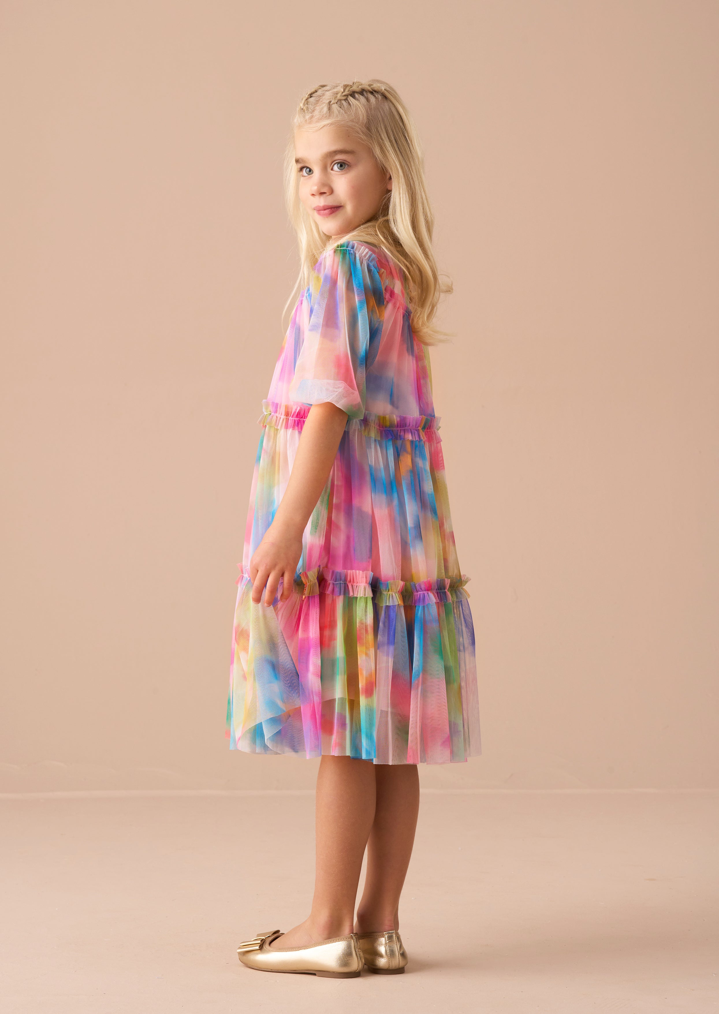 Eleanor Multi Printed Swing Mesh Dress