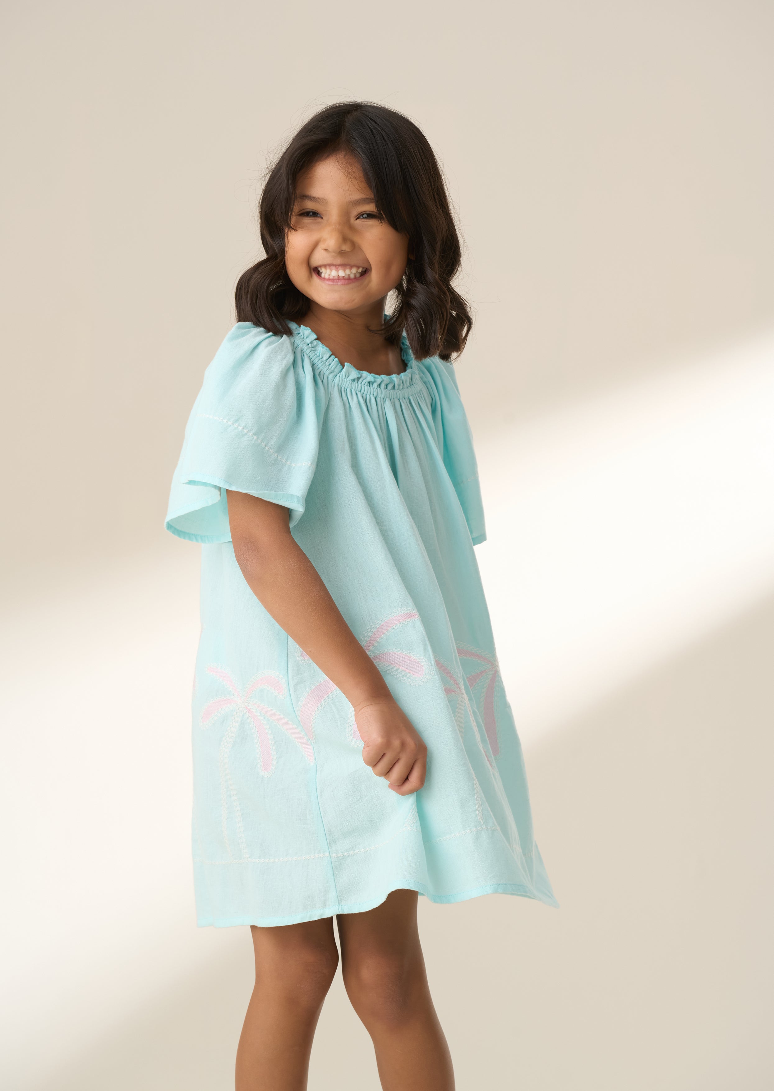 Paloma Blue Embroidered Hem Swing Dress