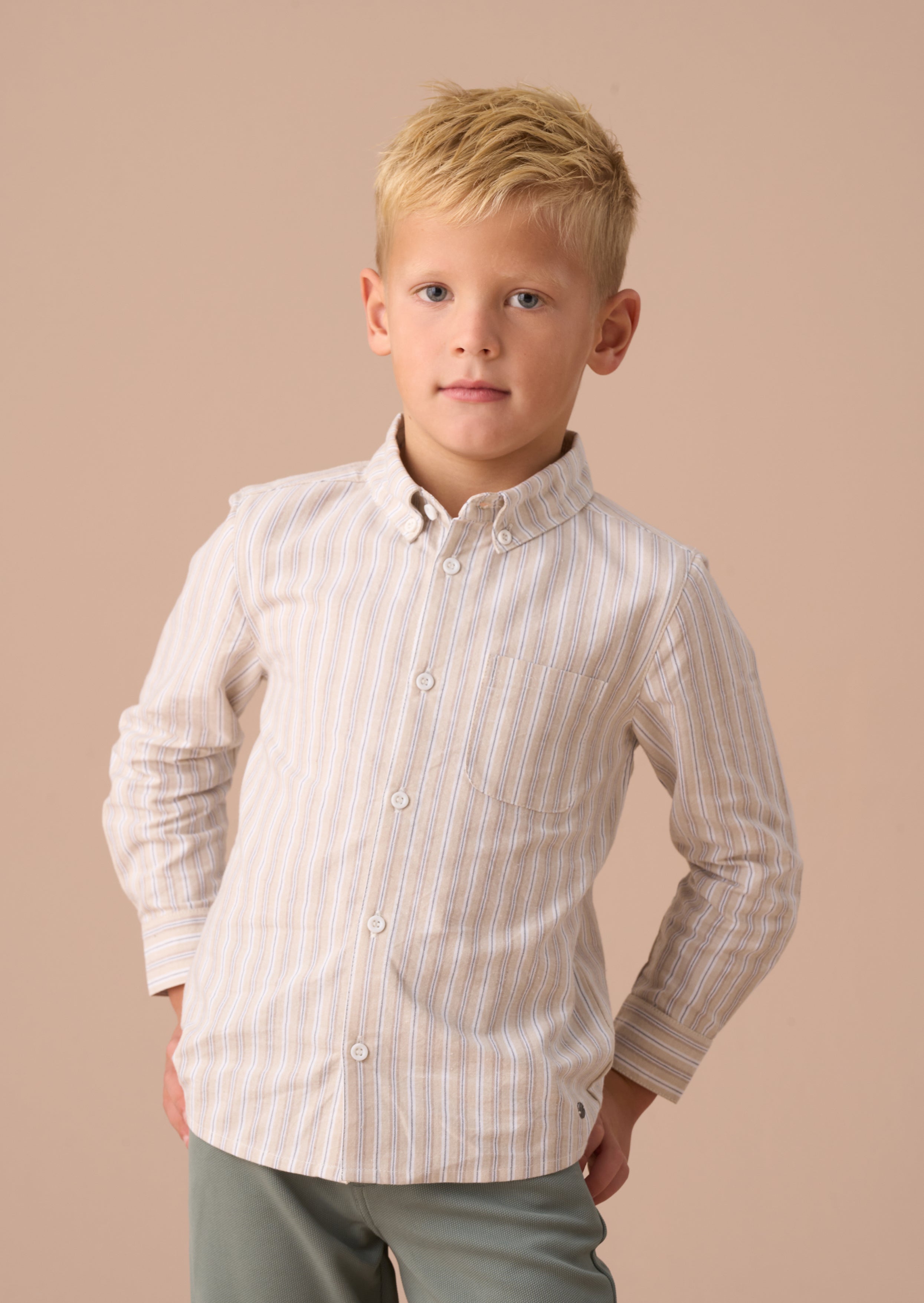 Ralph Stone Oxford Stripe Shirt