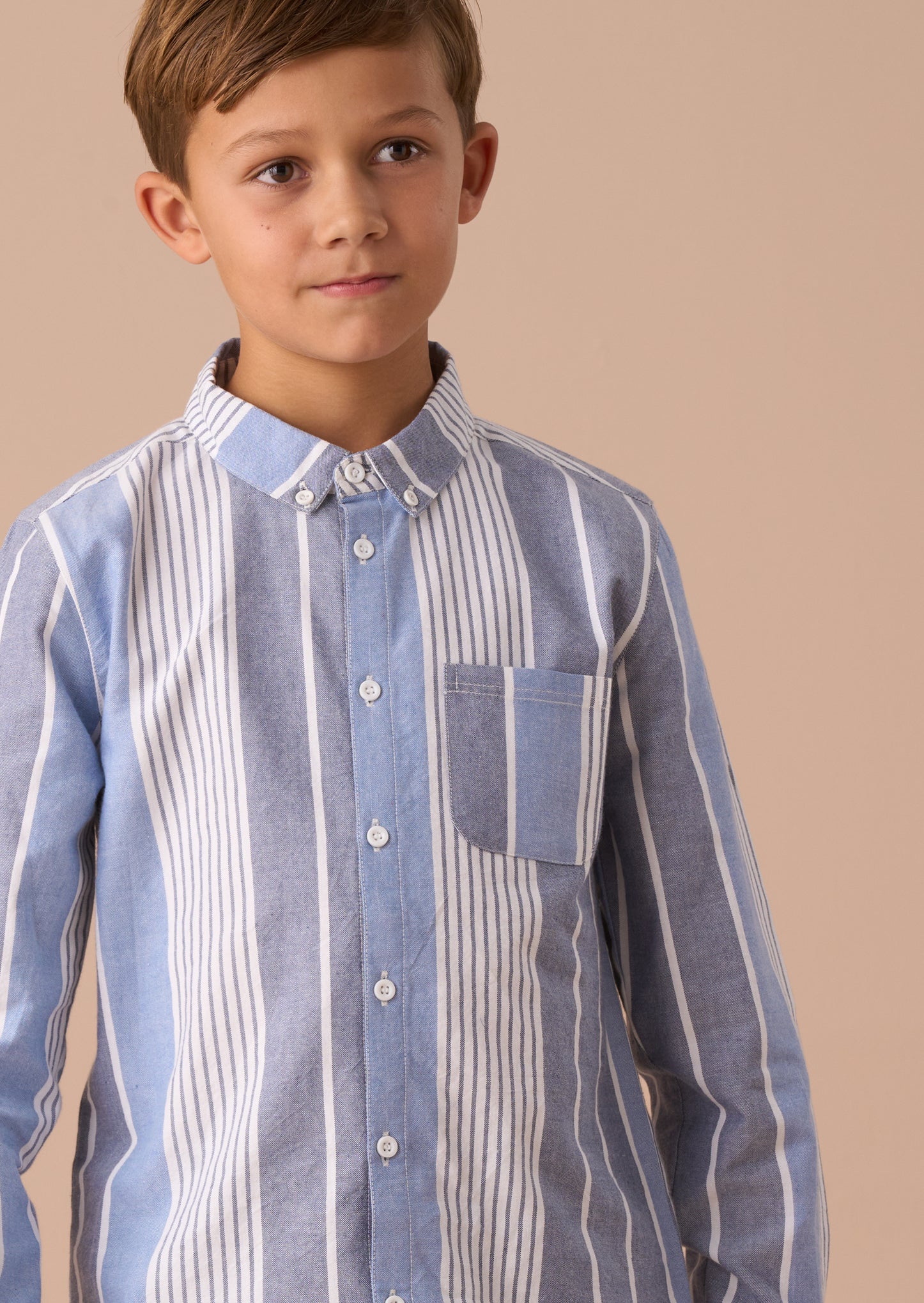 Ralph Blue Oxford Stripe Shirt