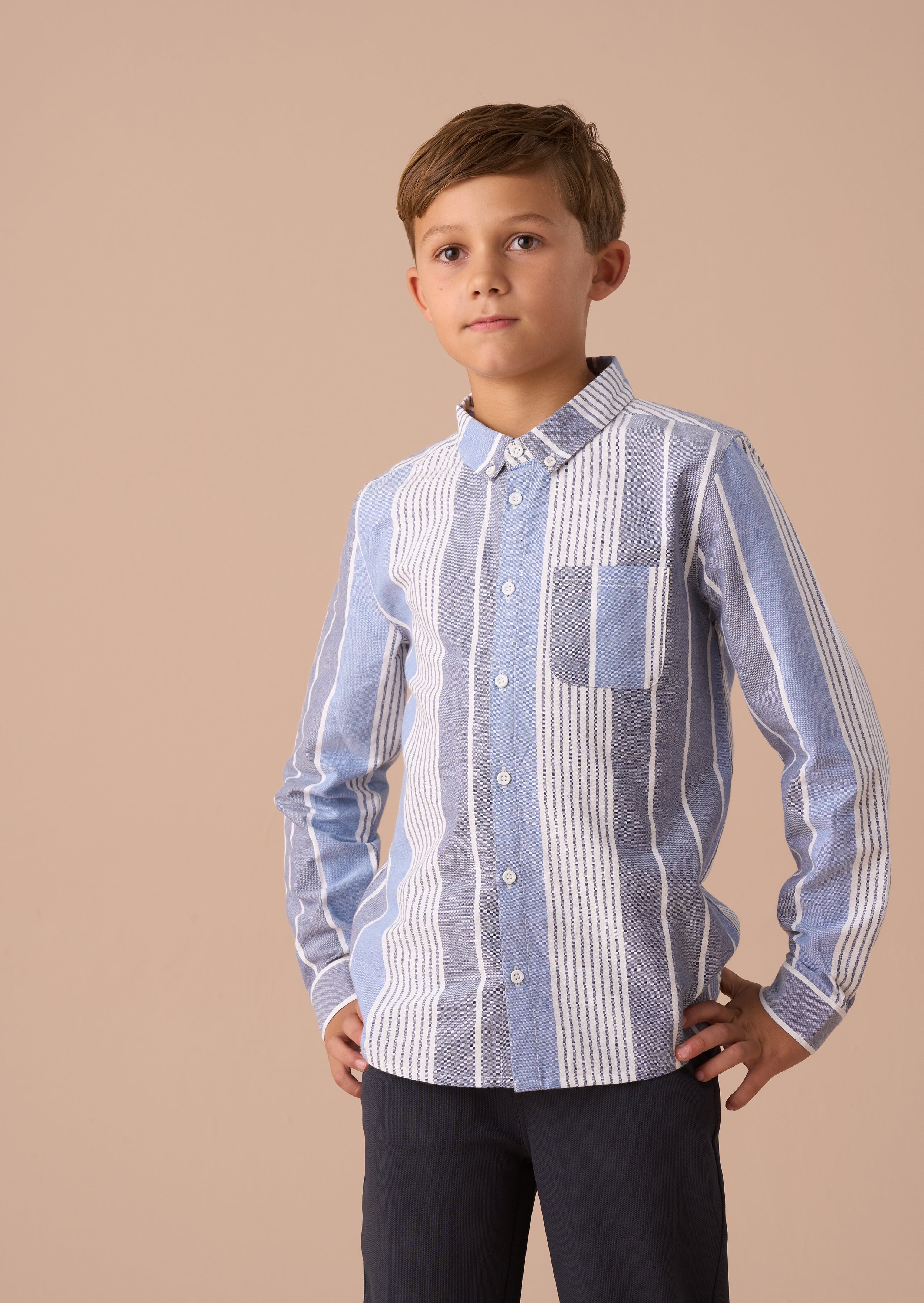 Ralph Blue Oxford Stripe Shirt