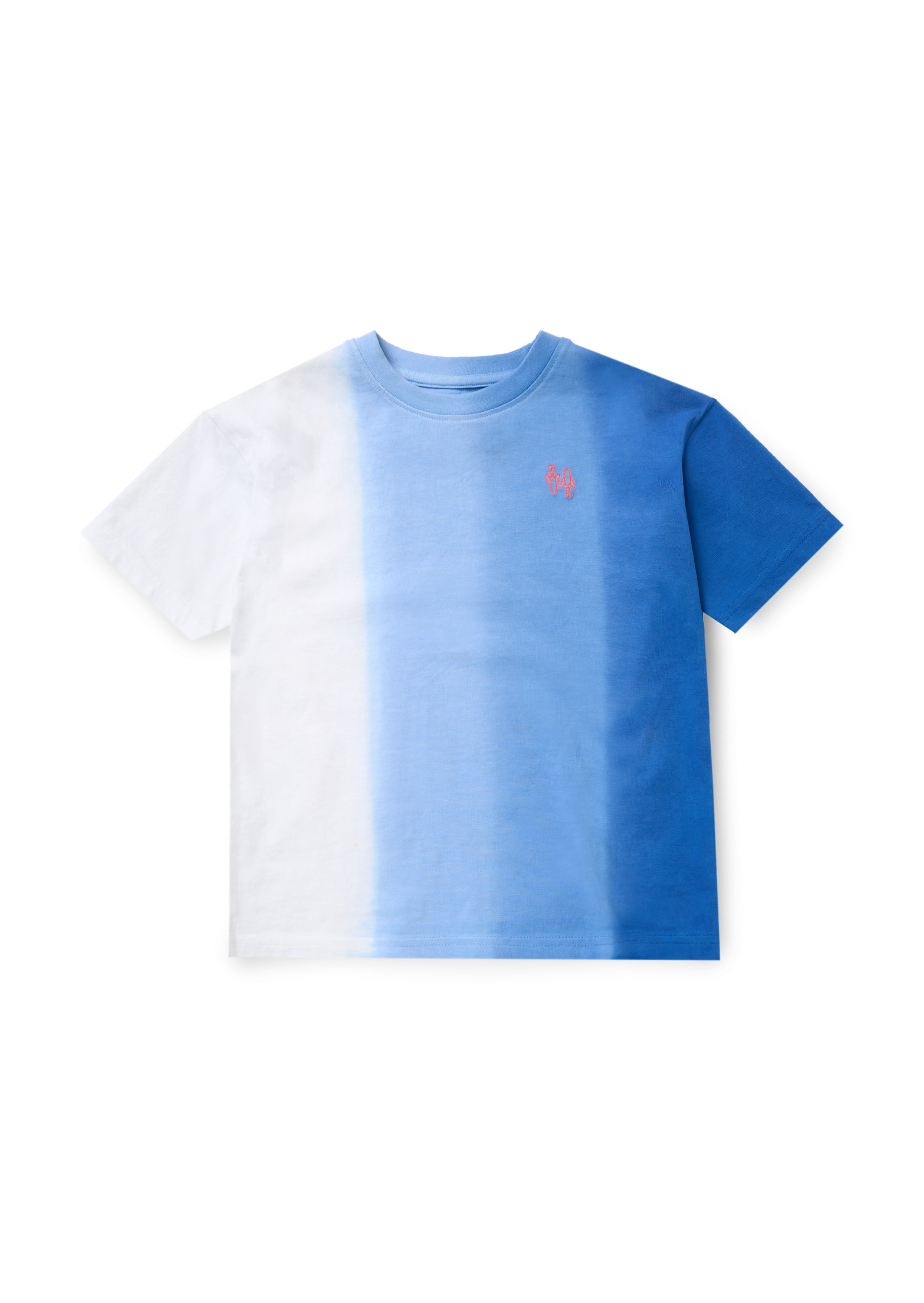 Brad Blue Ombre Washed T Shirt