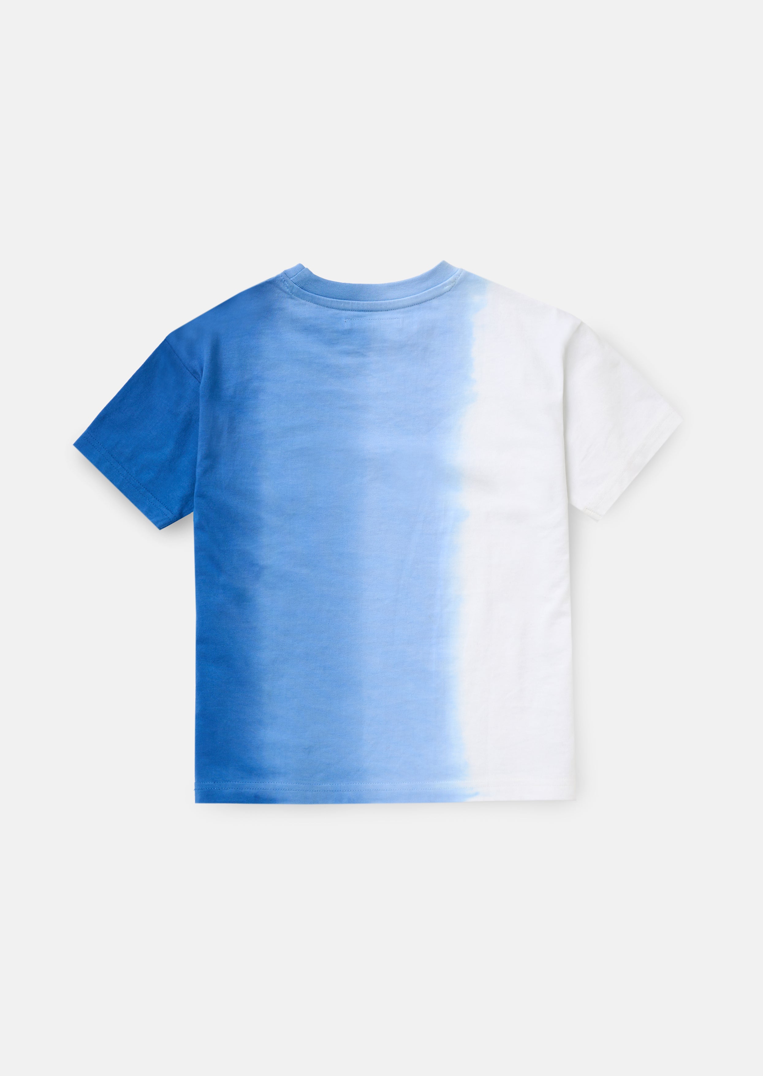 Brad Blue Ombre Washed T Shirt