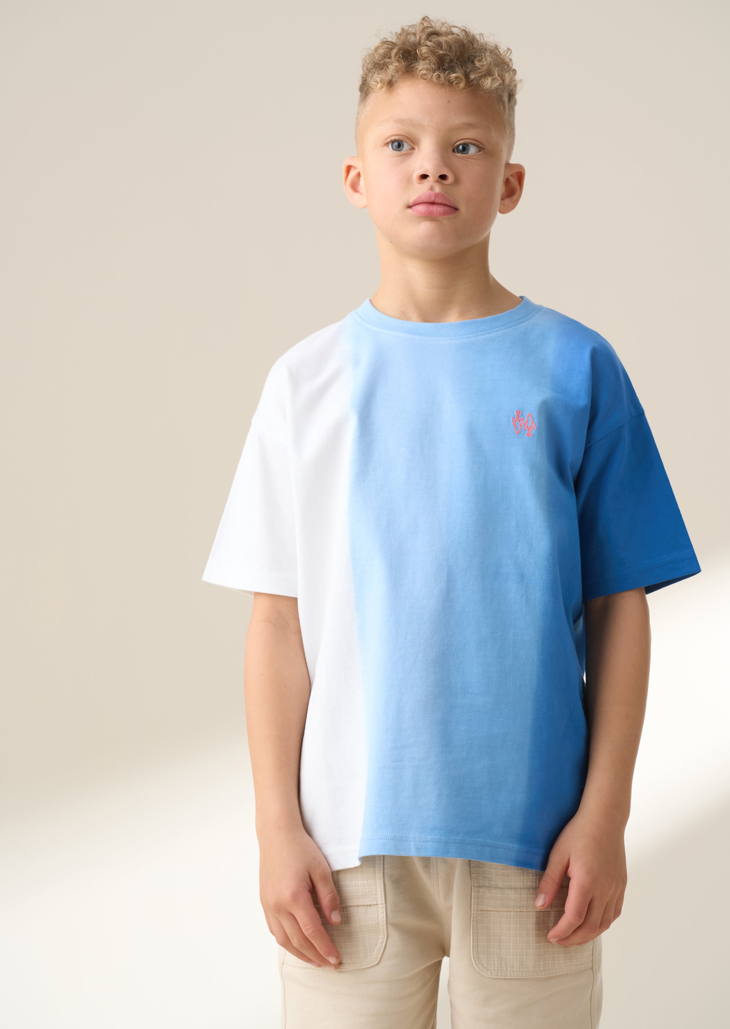 Brad Blue Ombre Washed T Shirt