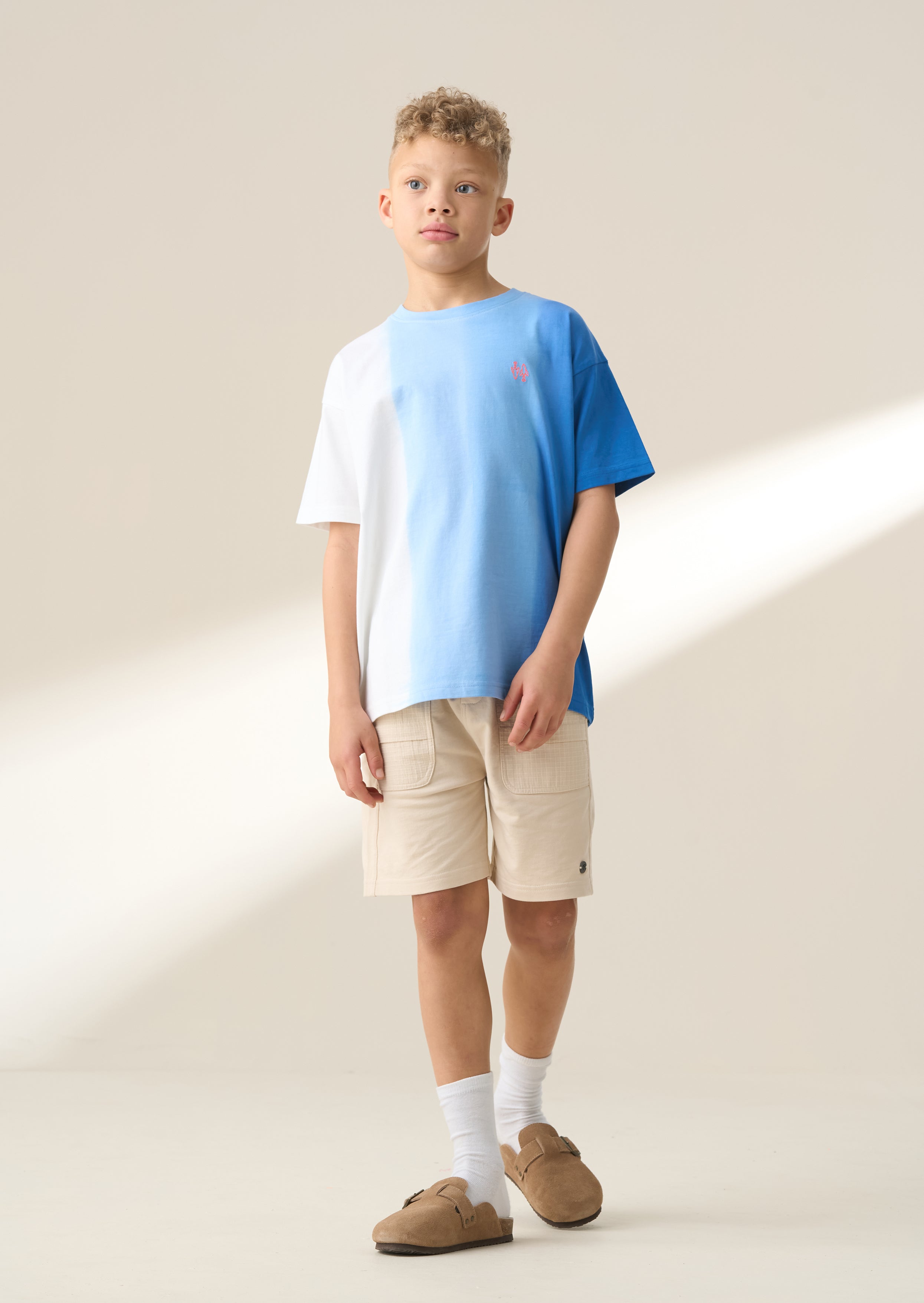 Brad Blue Ombre Washed T Shirt