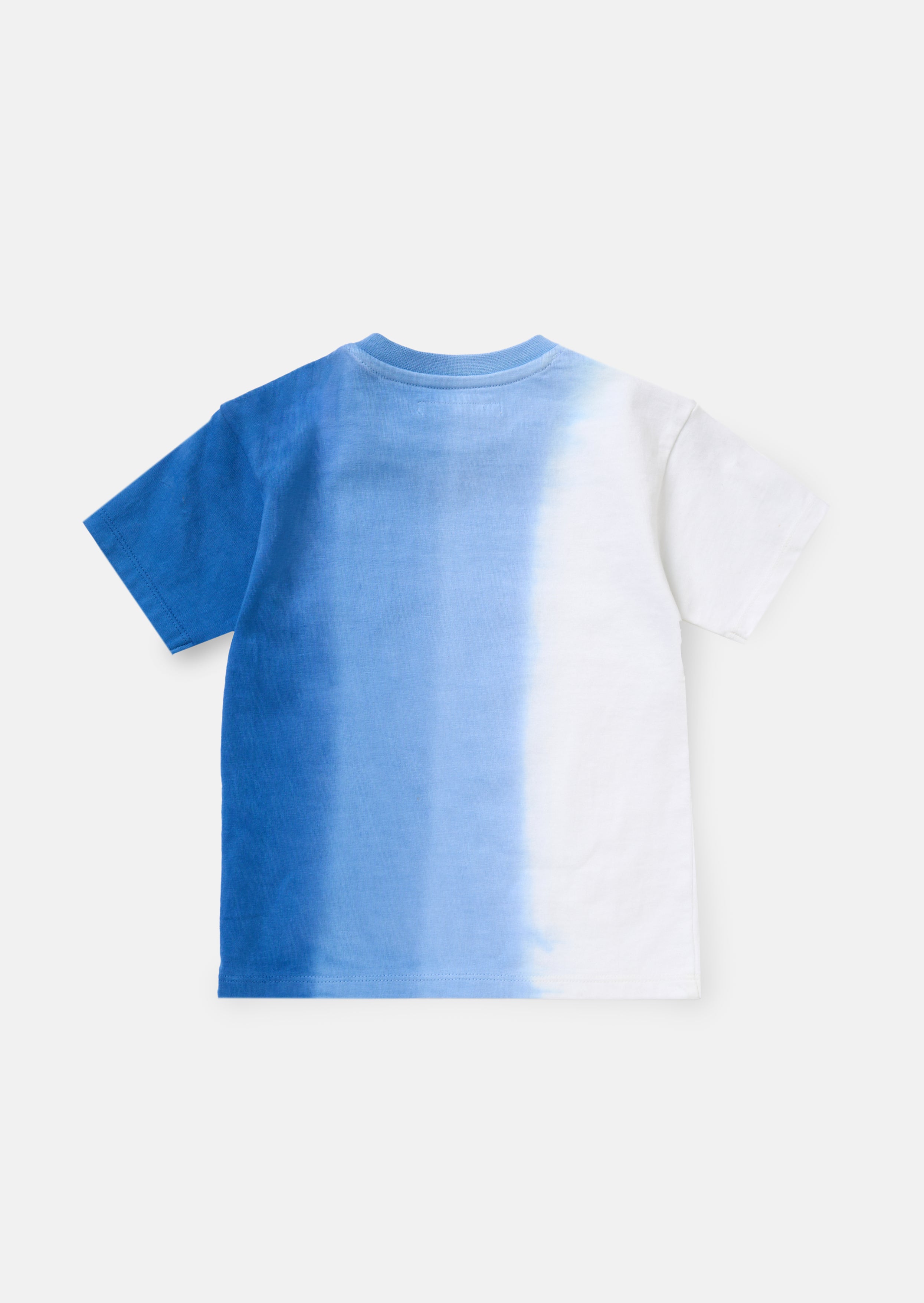 Brad Blue Mini Ombre Washed T Shirt