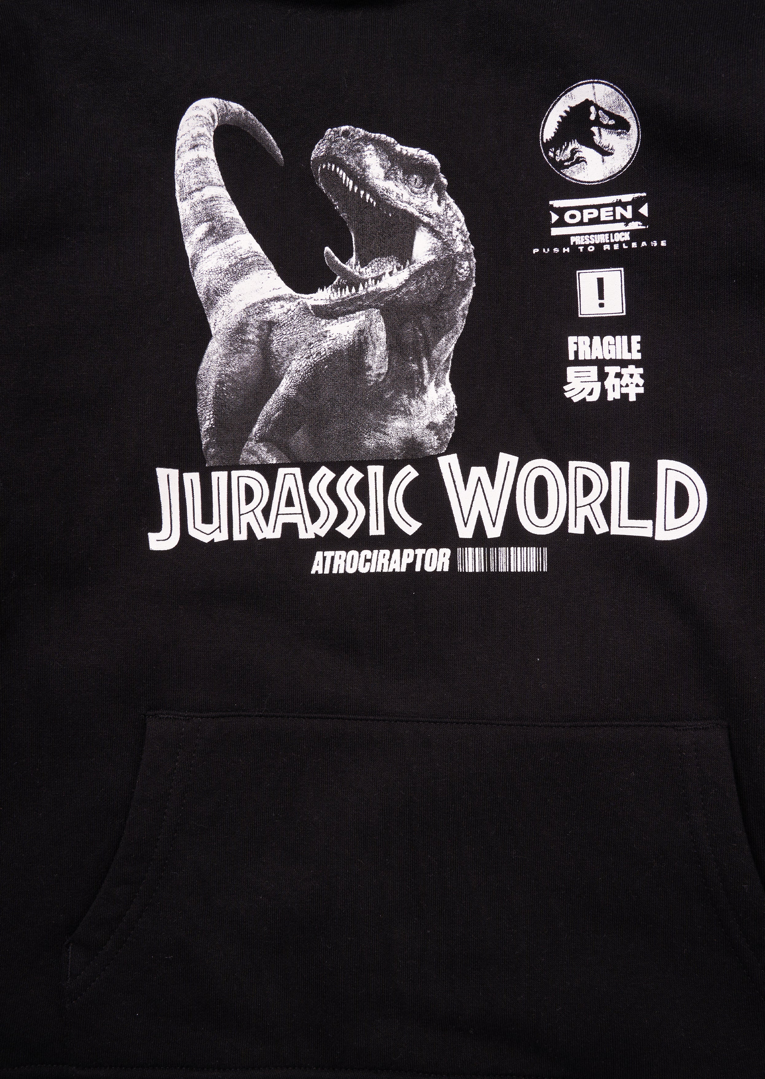 Jurassic Park Hoodie