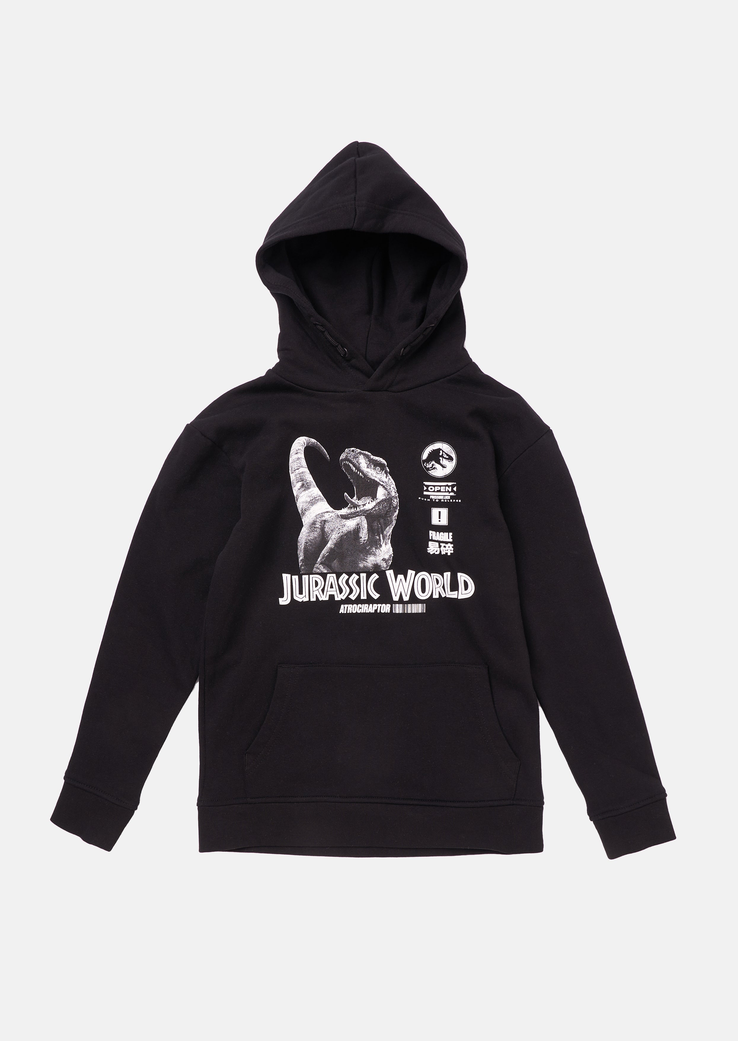 Jurassic Park Hoodie