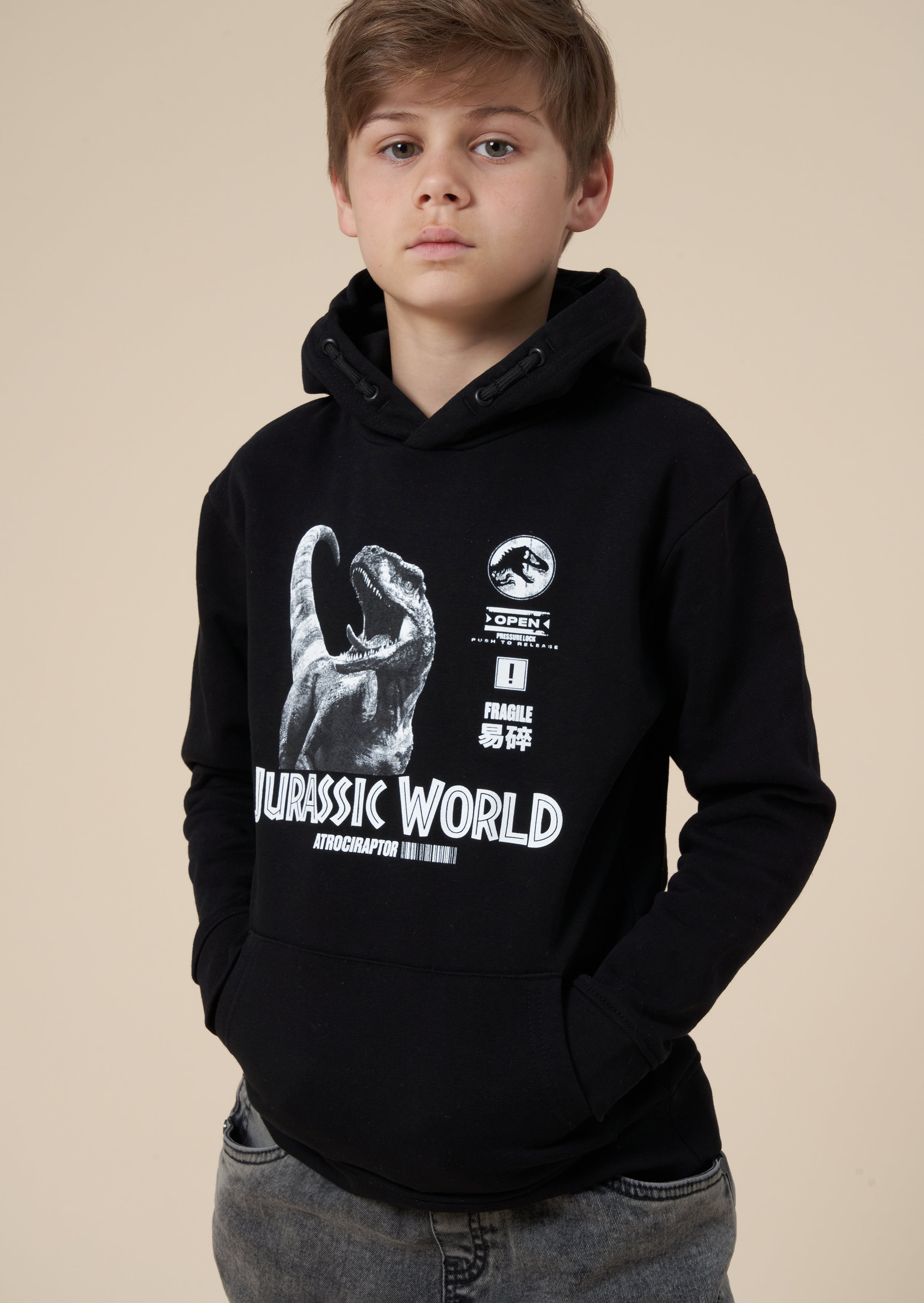 Jurassic Park Hoodie